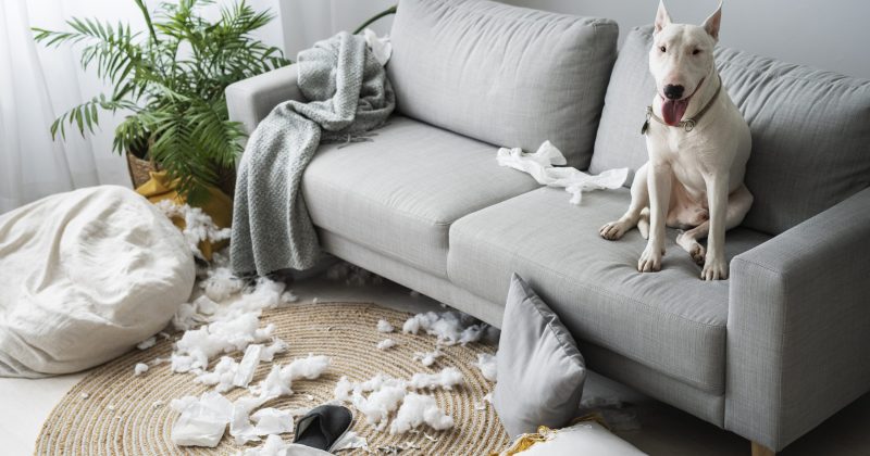 What’s the difference between flat rate and hourly house cleaning in LA