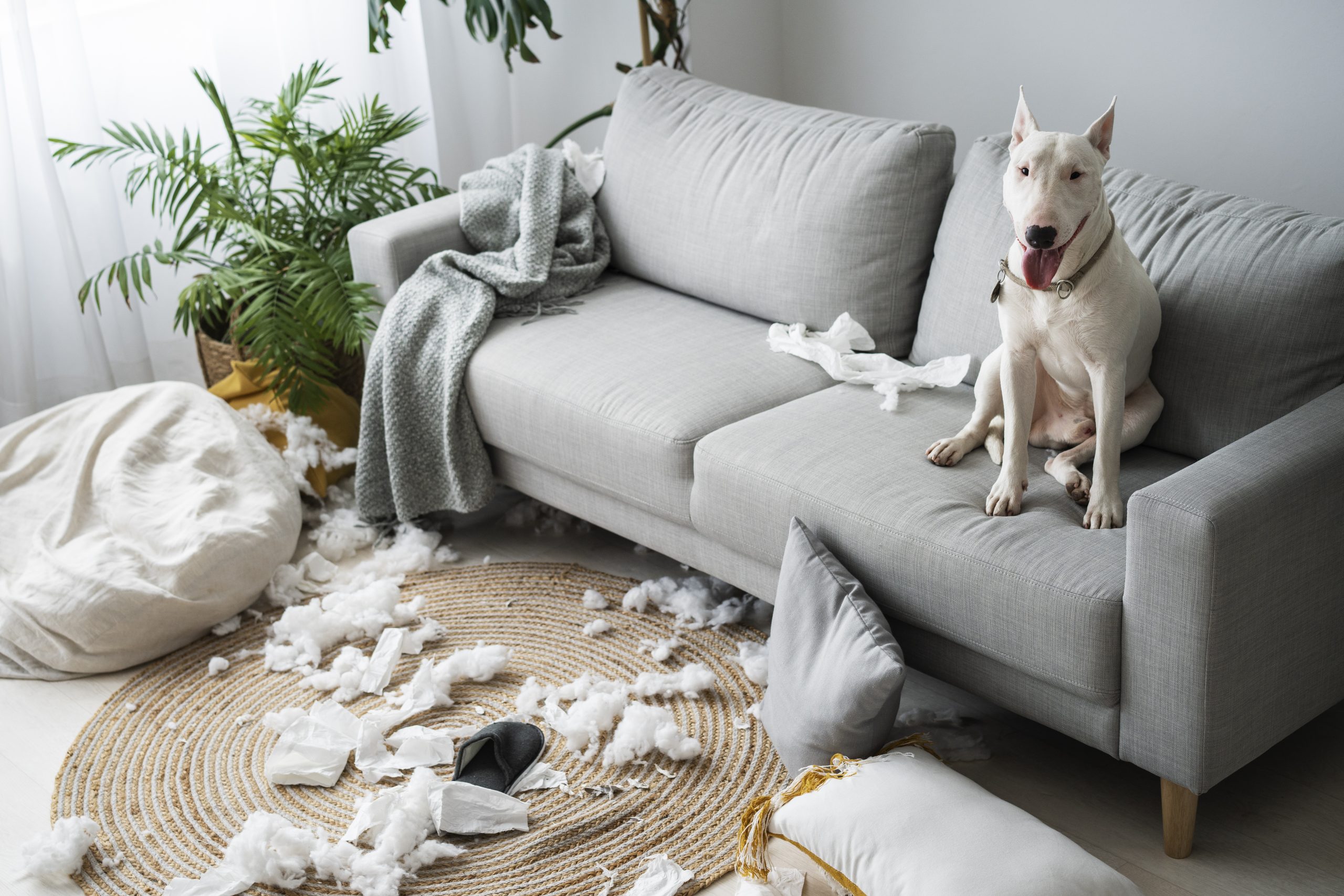 decide what pricing is th best for your house cleaning needs